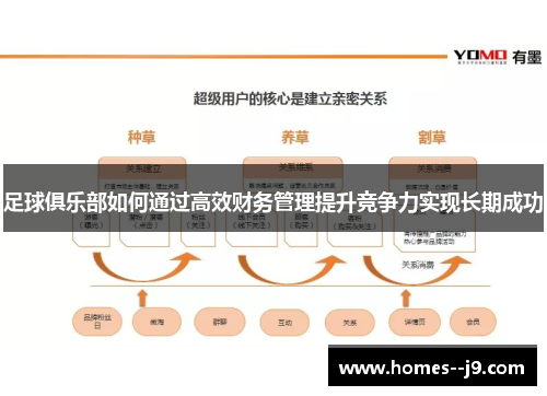 足球俱乐部如何通过高效财务管理提升竞争力实现长期成功