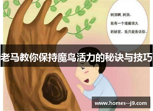 老马教你保持魔鸟活力的秘诀与技巧