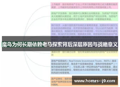 魔鸟为何长期依赖老马探索背后深层原因与战略意义